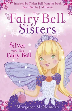 Margaret McNamara The Fairy Bell Sisters: Silver and the Fairy Ball обложка книги