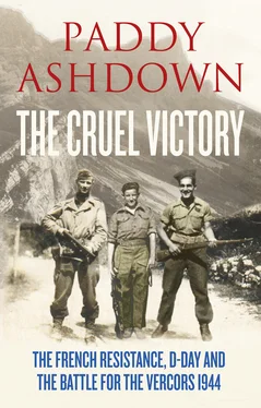 Paddy Ashdown The Cruel Victory: The French Resistance, D-Day and the Battle for the Vercors 1944 обложка книги