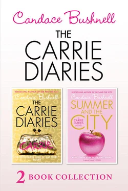 Candace Bushnell The Carrie Diaries and Summer in the City обложка книги