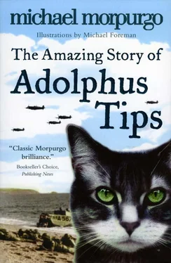Michael Morpurgo The Amazing Story of Adolphus Tips