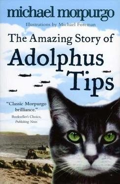 Michael Morpurgo The Amazing Story of Adolphus Tips обложка книги