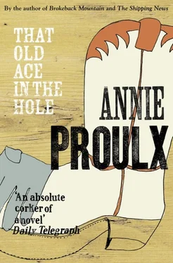 Annie Proulx That Old Ace in the Hole обложка книги