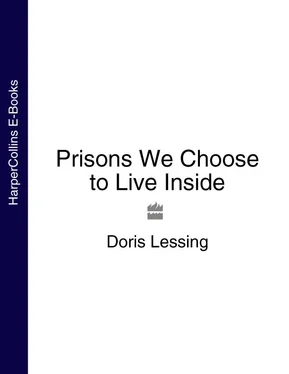 Doris Lessing Prisons We Choose to Live Inside обложка книги