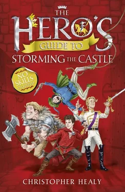 Christopher Healy The Hero’s Guide to Storming the Castle обложка книги