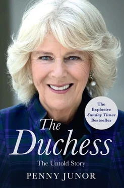 Penny Junor The Duchess: The Untold Story – the explosive biography, as seen in the Daily Mail обложка книги