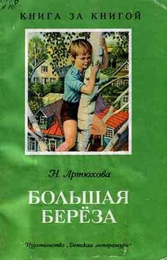 Нина Артюхова Большая береза (рассказы) обложка книги