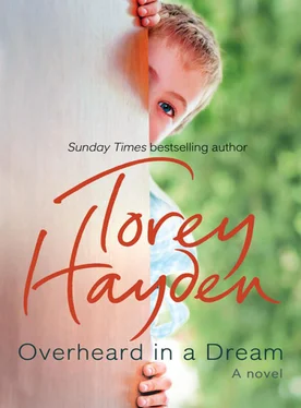 Torey Hayden Overheard in a Dream обложка книги