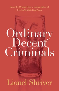 Lionel Shriver Ordinary Decent Criminals обложка книги