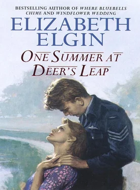 Elizabeth Elgin One Summer at Deer’s Leap обложка книги