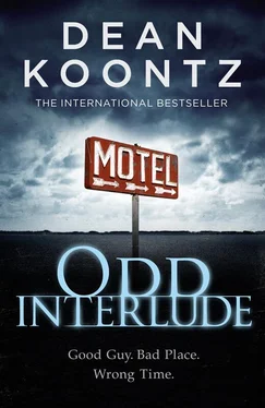 Dean Koontz Odd Interlude обложка книги