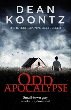 Dean Koontz Odd Apocalypse обложка книги