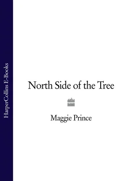 Maggie Prince North Side of the Tree обложка книги