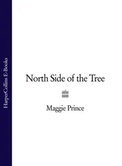 Maggie Prince - North Side of the Tree