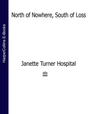 Janette Hospital North of Nowhere, South of Loss обложка книги