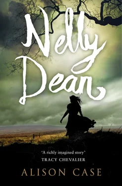 Alison Case Nelly Dean обложка книги