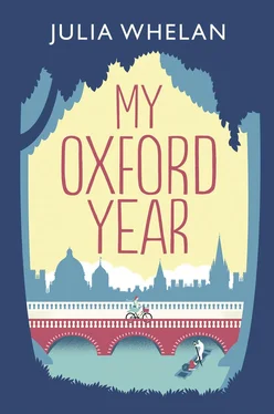 Julia Whelan My Oxford Year обложка книги