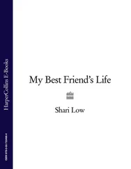 Shari Low - My Best Friend’s Life