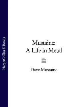 Dave Mustaine Mustaine: A Life in Metal обложка книги