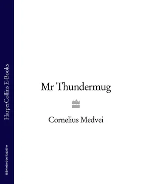 Cornelius Medvei Mr Thundermug обложка книги