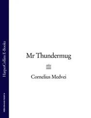 Cornelius Medvei - Mr Thundermug