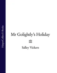 Salley Vickers - Mr Golightly’s Holiday