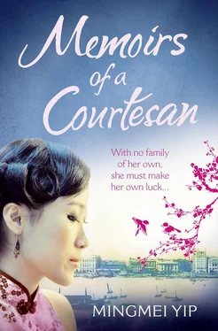 Mingmei Yip Memoirs of a Courtesan обложка книги