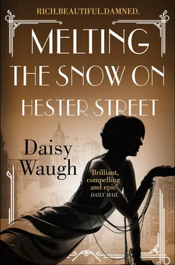 Daisy Waugh Melting the Snow on Hester Street обложка книги