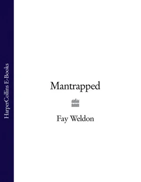 Fay Weldon Mantrapped обложка книги