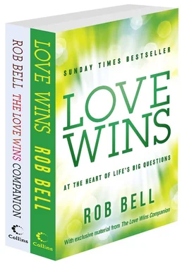 Rob Bell Love Wins and The Love Wins Companion обложка книги