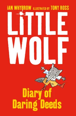 Ian Whybrow Little Wolf’s Diary of Daring Deeds обложка книги