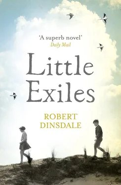 Robert Dinsdale Little Exiles обложка книги