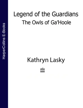Kathryn Lasky LEGEND OF THE GUARDIANS: THE OWLS OF GA’HOOLE обложка книги