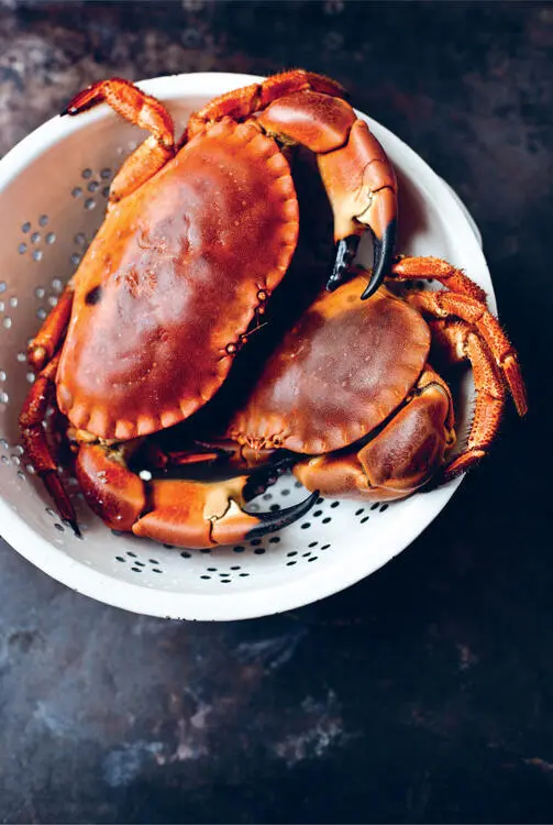 DEVILLED CRAB This is a wonderful recipe for spring when the baby onions are - фото 21