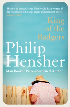 Philip Hensher King of the Badgers обложка книги