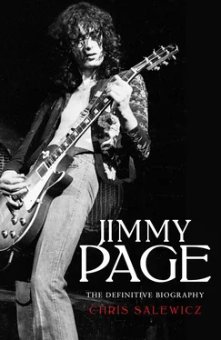 Chris Salewicz Jimmy Page: The Definitive Biography обложка книги