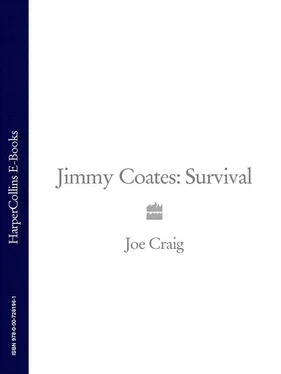 Joe Craig Jimmy Coates: Survival обложка книги