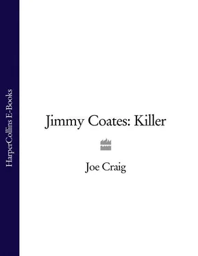 Joe Craig Jimmy Coates: Killer обложка книги