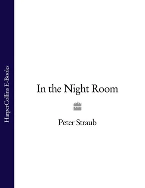 Peter Straub In the Night Room обложка книги