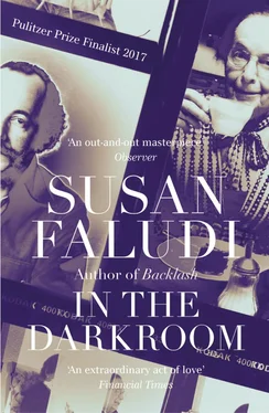 Susan Faludi In the Darkroom обложка книги