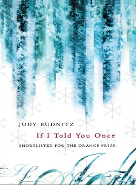 Judy Budnitz If I Told You Once обложка книги