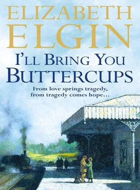 Elizabeth Elgin I’ll Bring You Buttercups обложка книги