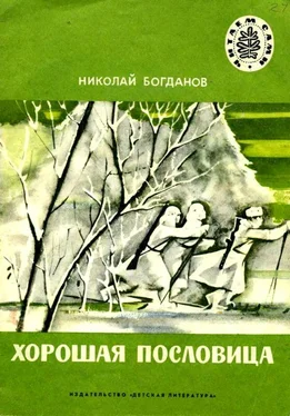 Николай Богданов Хорошая пословица обложка книги