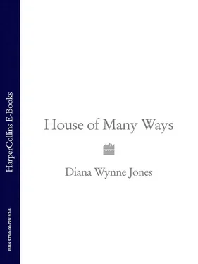 Diana Jones House of Many Ways обложка книги