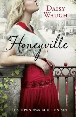 Daisy Waugh Honeyville обложка книги