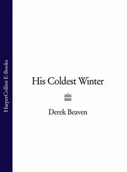 Derek Beaven - His Coldest Winter