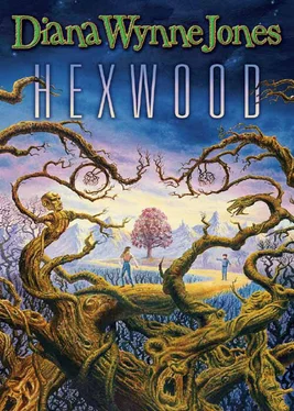 Diana Jones Hexwood обложка книги