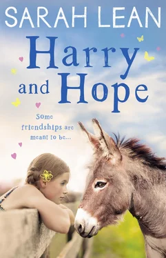 Sarah Lean Harry and Hope обложка книги