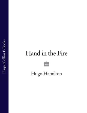 Hugo Hamilton Hand in the Fire обложка книги