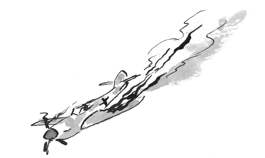 I hit my first Messerschmitt The Luftwaffe pilot parachuted out Bang And - фото 31