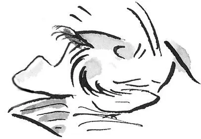 Unable to sleep and with his heart still pounding in his chest from the - фото 26